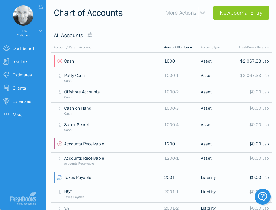 Demonstating the Chart of Accounts Page