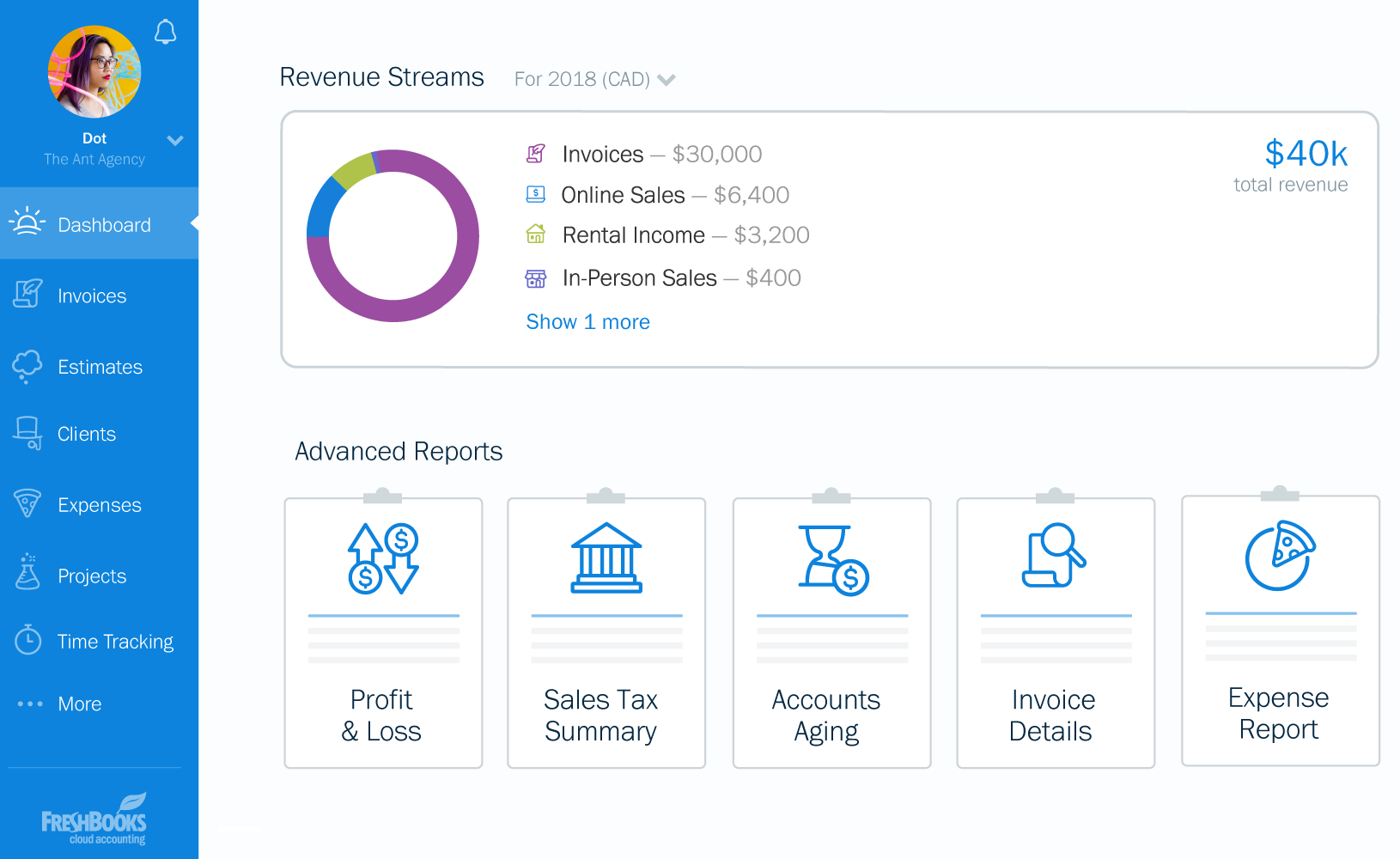 Other Income Revenue Graph